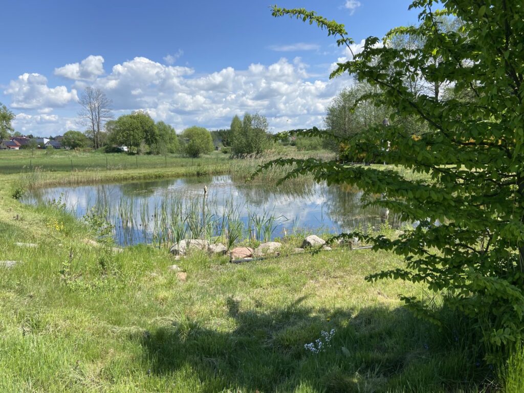 staw-agroturystyka-bialystok